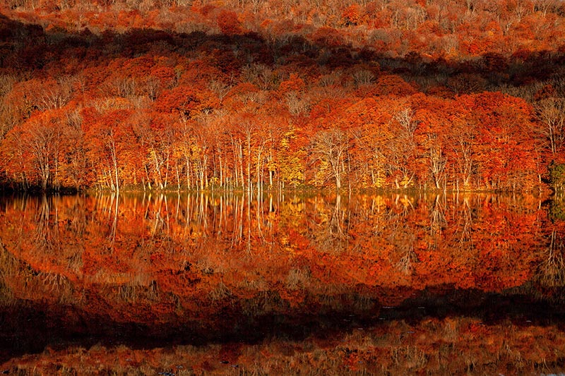 奥入瀬・十和田（青森県）