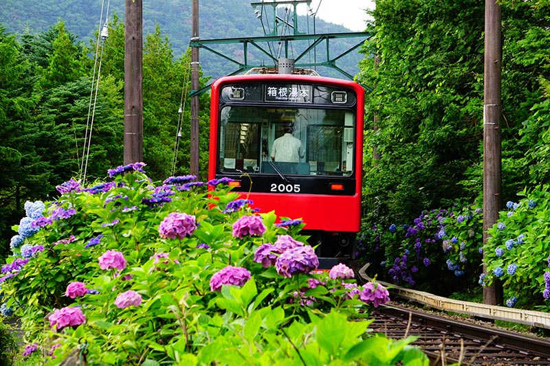 箱根（神奈川県）